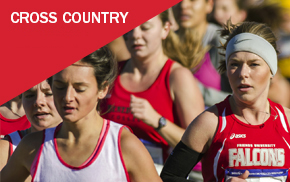 NAIA Cross Country Championship