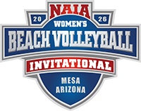 Beach Volleyball