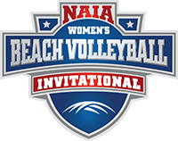 Beach Volleyball
