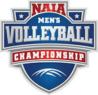 Mens Volleyball