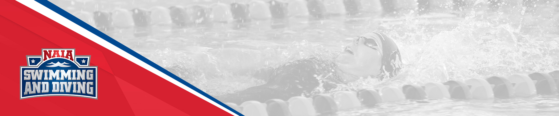swim dive
