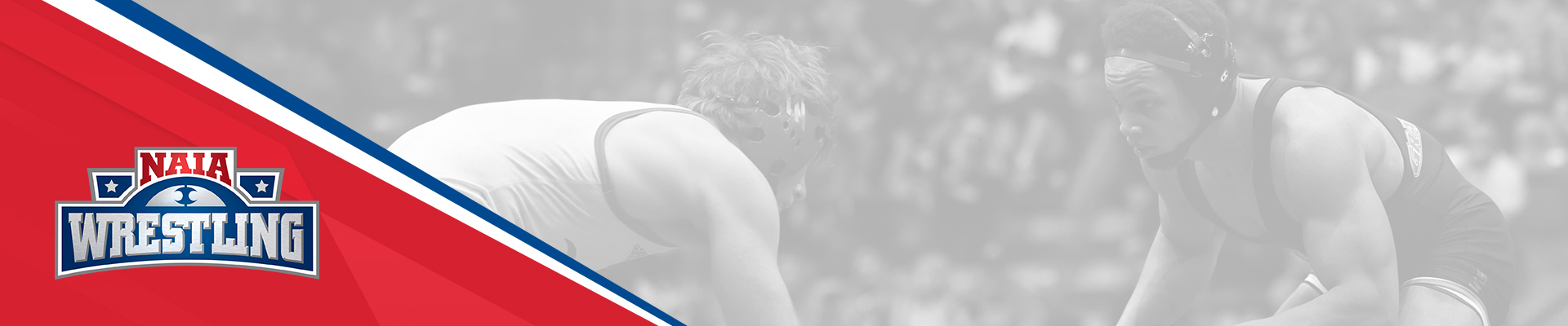 wrestling