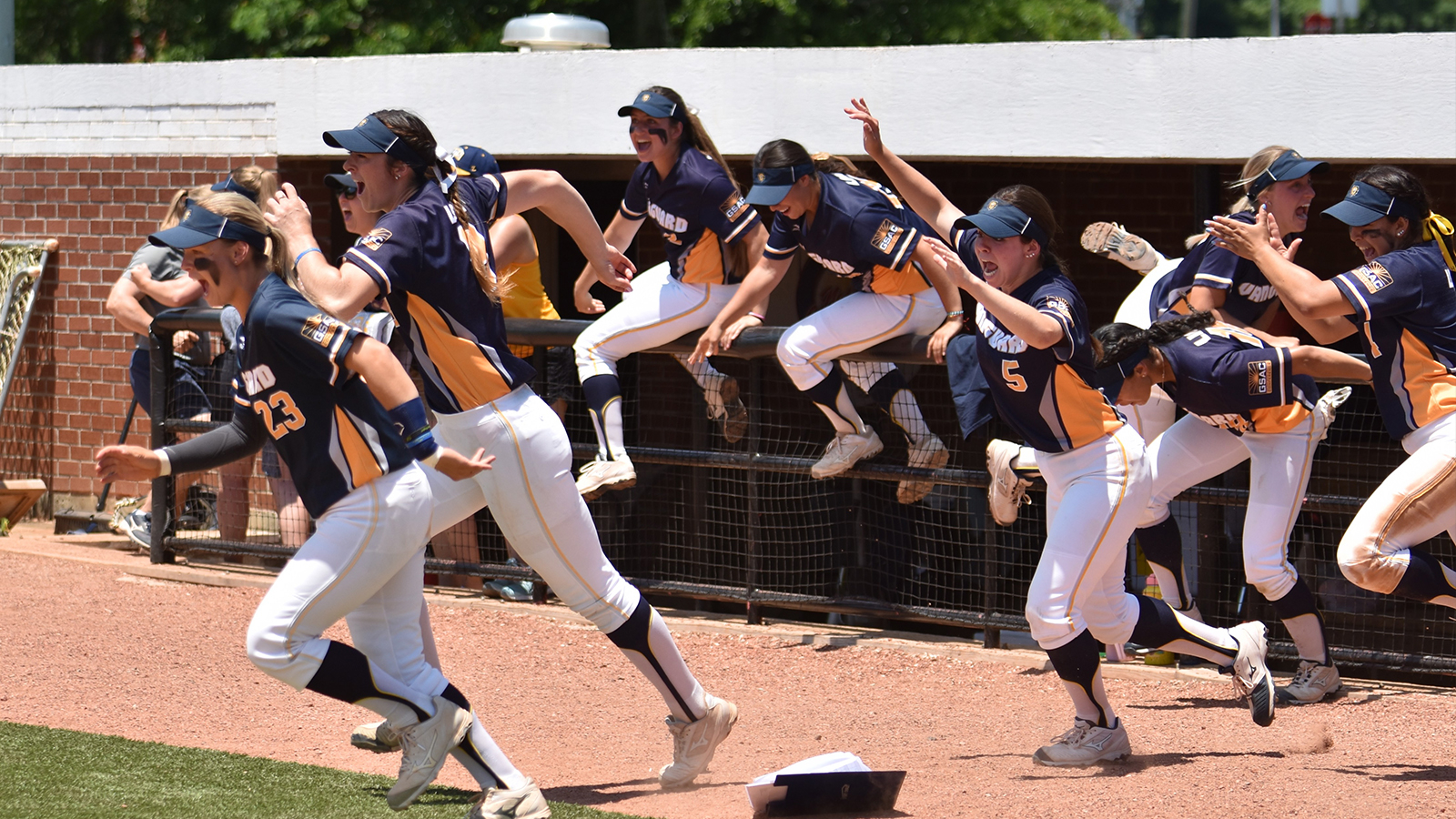 2019 NAIA Softball World Series Bracket Announced