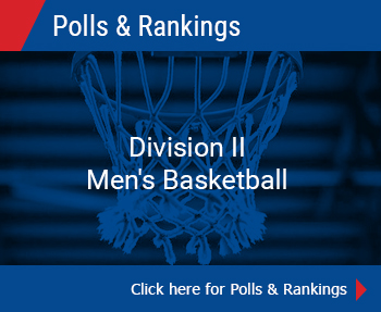 Men's basketball Division II