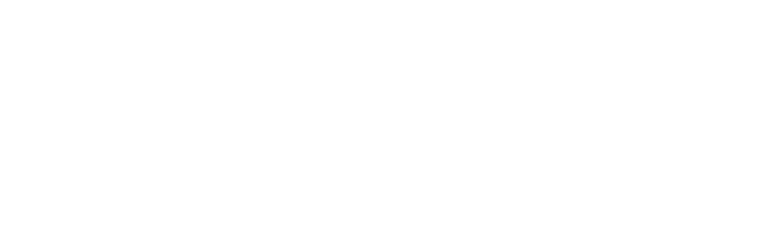 the deal