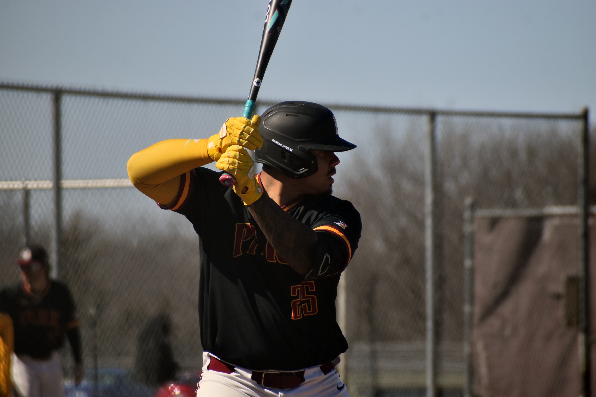 Courtesy Park (Mo.) Athletics