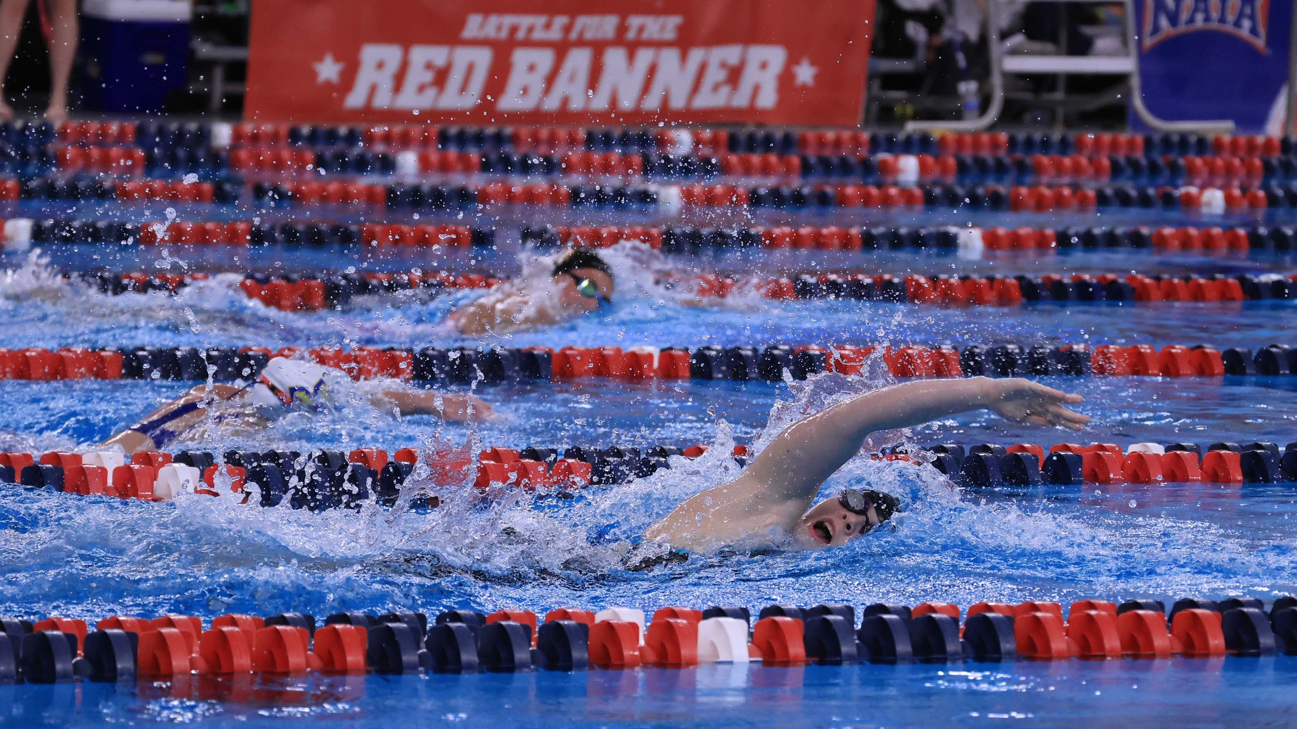 Seahawks Remain Atop the Leaderboard Midway Through the 2026 NAIA Men's Swimming and Diving National Championship