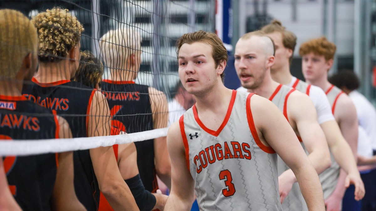 volleyball