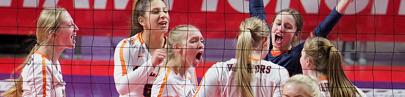 volleyball