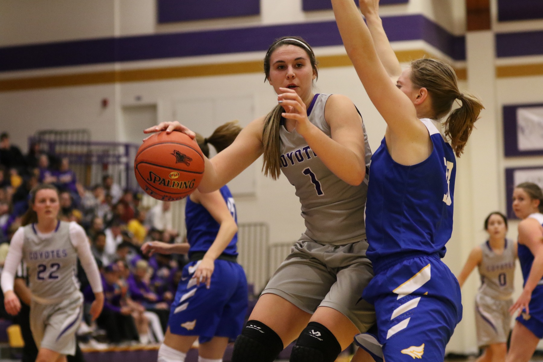 NAIA Division II Women's Basketball National Player of the Week - No. 6