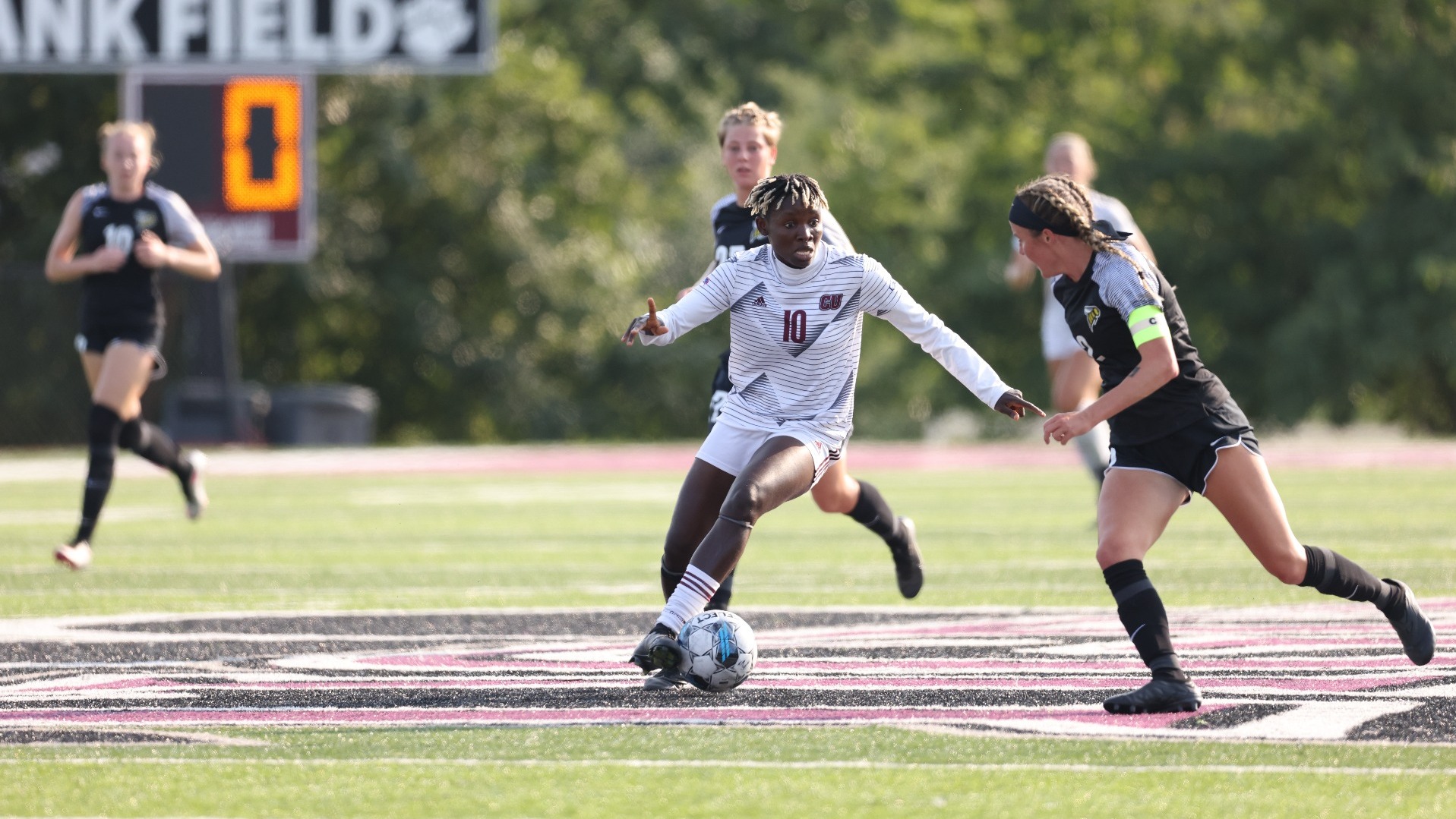 Photo Credit: Campbellsville (Ky.) Sports Information Department