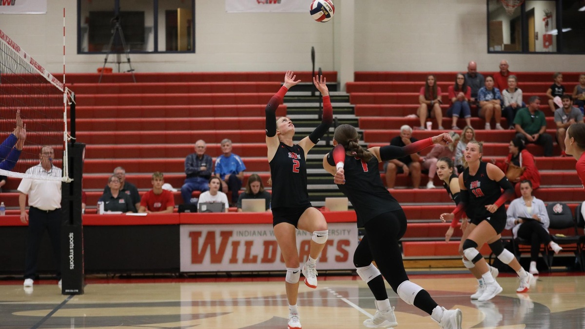 Courtesy: Indiana Wesleyan Athletics